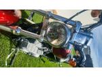 Klikněte pro detailní foto č. 2 - Harley-Davidson Sportster 883 Custom