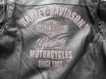 Klikněte pro detailní foto č. 3 - Bundy Kožená bunda Harley Davidson