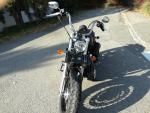 Klikněte pro detailní foto č. 10 - Harley-Davidson XL 1200 C Sportster Custom