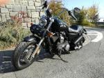 Klikněte pro detailní foto č. 3 - Harley-Davidson XL 1200 C Sportster Custom