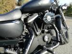 Klikněte pro detailní foto č. 4 - Harley-Davidson XL 1200 C Sportster Custom