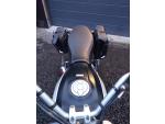 Klikněte pro detailní foto č. 3 - Ducati Scrambler Icon