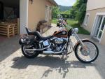 Klikněte pro detailní foto č. 1 - Harley-Davidson FXSTC Softail Custom