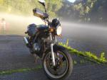 Klikněte pro detailní foto č. 1 - Suzuki GS 500 F