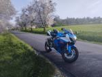 Klikněte pro detailní foto č. 2 - Suzuki GSX-R 1000