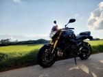 Klikněte pro detailní foto č. 1 - Yamaha FZ 8 N