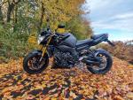 Klikněte pro detailní foto č. 4 - Yamaha FZ 8 N