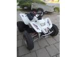 Klikněte pro detailní foto č. 2 - Access Motor DRR 100