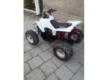 Klikněte pro detailní foto č. 5 - Access Motor DRR 100