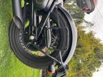 Klikněte pro detailní foto č. 9 - Jawa Perak