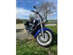 Klikněte pro detailní foto č. 4 - Suzuki VL 800 C Intruder