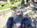 Klikněte pro detailní foto č. 4 - Sachs Roadster 650
