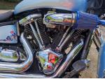 Klikněte pro detailní foto č. 4 - Kawasaki VN 2000 Classic