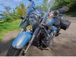 Klikněte pro detailní foto č. 6 - Kawasaki VN 2000 Classic