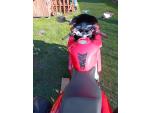 Klikněte pro detailní foto č. 11 - Honda VFR 800 VTEC