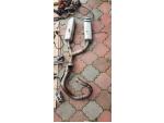 Klikněte pro detailní foto č. 10 - Motory Motocross Hodna crf 450 rok 2013 dily