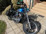 Klikněte pro detailní foto č. 1 - Harley-Davidson Sportster 883