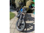 Klikněte pro detailní foto č. 2 - Harley-Davidson Sportster 883