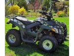 Klikněte pro detailní foto č. 1 - Sym Quad Lander 300