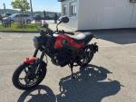 Detail nabídky - Benelli Leoncino 125
