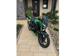 Klikněte pro detailní foto č. 5 - Kawasaki Z 300