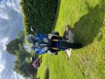 Klikněte pro detailní foto č. 1 - BMW R 1200 RS