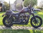 Detail nabídky - Harley-Davidson XL 883N Sportster Iron