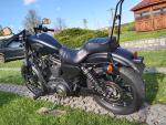 Klikněte pro detailní foto č. 2 - Harley-Davidson XL 883N Sportster Iron