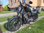 Klikněte pro detailní foto č. 6 - Harley-Davidson XL 883N Sportster Iron