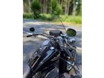 Klikněte pro detailní foto č. 13 - Harley-Davidson FLSTN Softail Deluxe