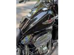 Klikněte pro detailní foto č. 12 - Harley-Davidson FLSTN Softail Deluxe