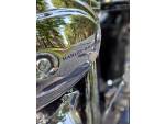 Klikněte pro detailní foto č. 11 - Harley-Davidson FLSTN Softail Deluxe