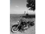 Klikněte pro detailní foto č. 6 - Harley-Davidson FLSTN Softail Deluxe