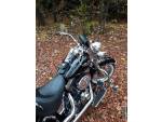 Klikněte pro detailní foto č. 1 - Harley-Davidson FLSTN Softail Deluxe