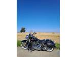 Klikněte pro detailní foto č. 3 - Harley-Davidson FLSTN Softail Deluxe