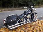 Klikněte pro detailní foto č. 16 - Harley-Davidson FLSTN Softail Deluxe