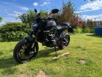 Klikněte pro detailní foto č. 2 - Ducati Monster