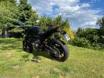 Klikněte pro detailní foto č. 7 - Ducati Monster