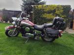 Klikněte pro detailní foto č. 6 - Kawasaki VN 1500