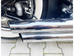 Klikněte pro detailní foto č. 10 - Harley-Davidson FLSTN Softail Deluxe