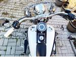 Klikněte pro detailní foto č. 14 - Harley-Davidson FLSTN Softail Deluxe
