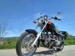Klikněte pro detailní foto č. 1 - Ural Solo Wolf