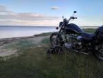 Klikněte pro detailní foto č. 4 - Ural Solo Wolf