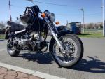 Klikněte pro detailní foto č. 8 - Ural Solo Wolf