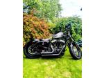 Klikněte pro detailní foto č. 1 - Harley-Davidson XL 1200X Forty-Eight