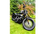 Klikněte pro detailní foto č. 2 - Harley-Davidson XL 1200X Forty-Eight