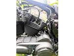 Klikněte pro detailní foto č. 7 - Harley-Davidson XL 1200X Forty-Eight