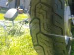 Klikněte pro detailní foto č. 6 - Yamaha XVS 650 DragStar