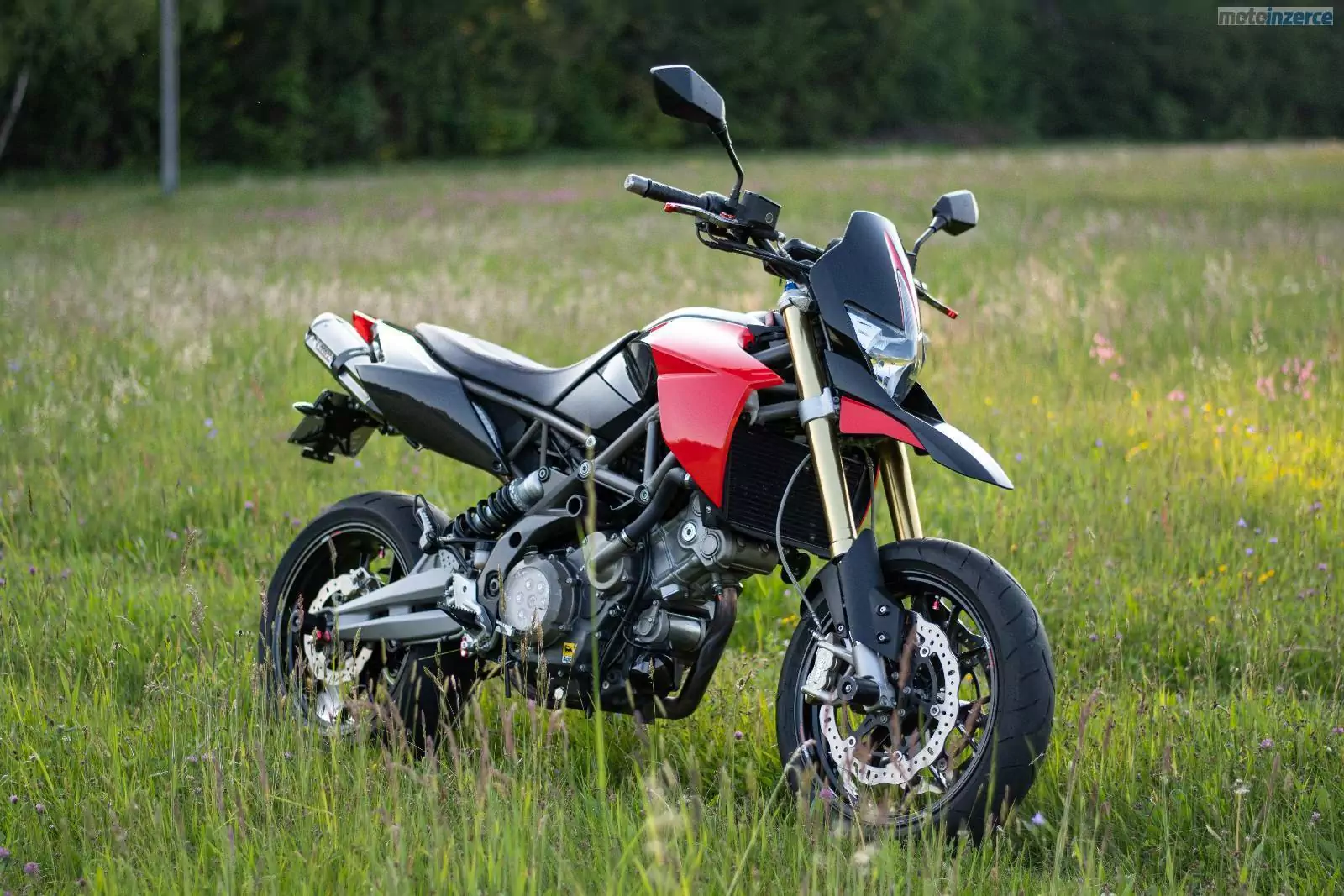Aprilia Dorsoduro 750