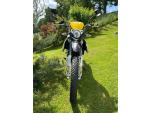 Klikněte pro detailní foto č. 3 - UM Motorcycles DSR EX